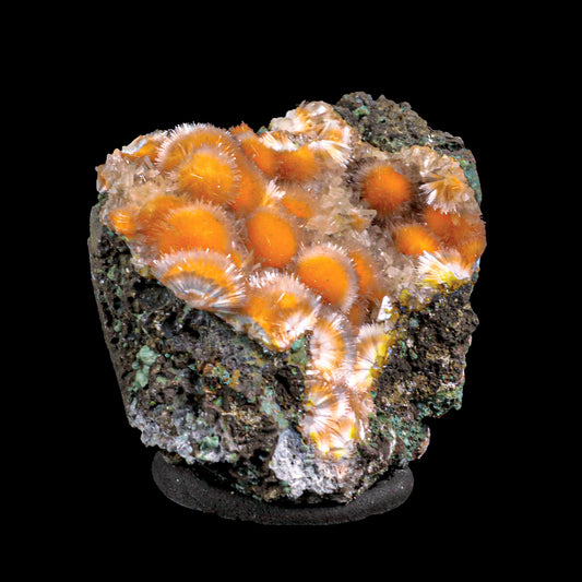 Thomsonite Orange Rare Find Natural Mineral Specimen # B 6855