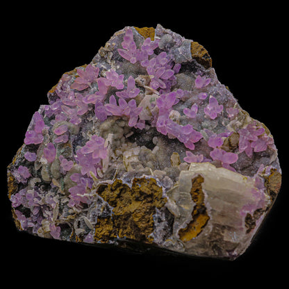 Rare Dogtoth Natural Mineral Specimen # B 6874