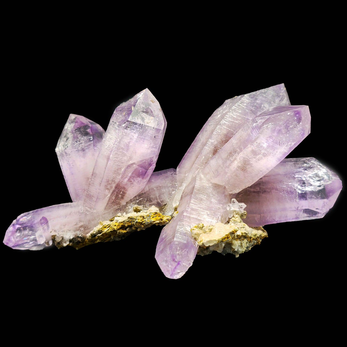 Rare Moldy Amethyst Natural Mineral Specimen.  # GG9