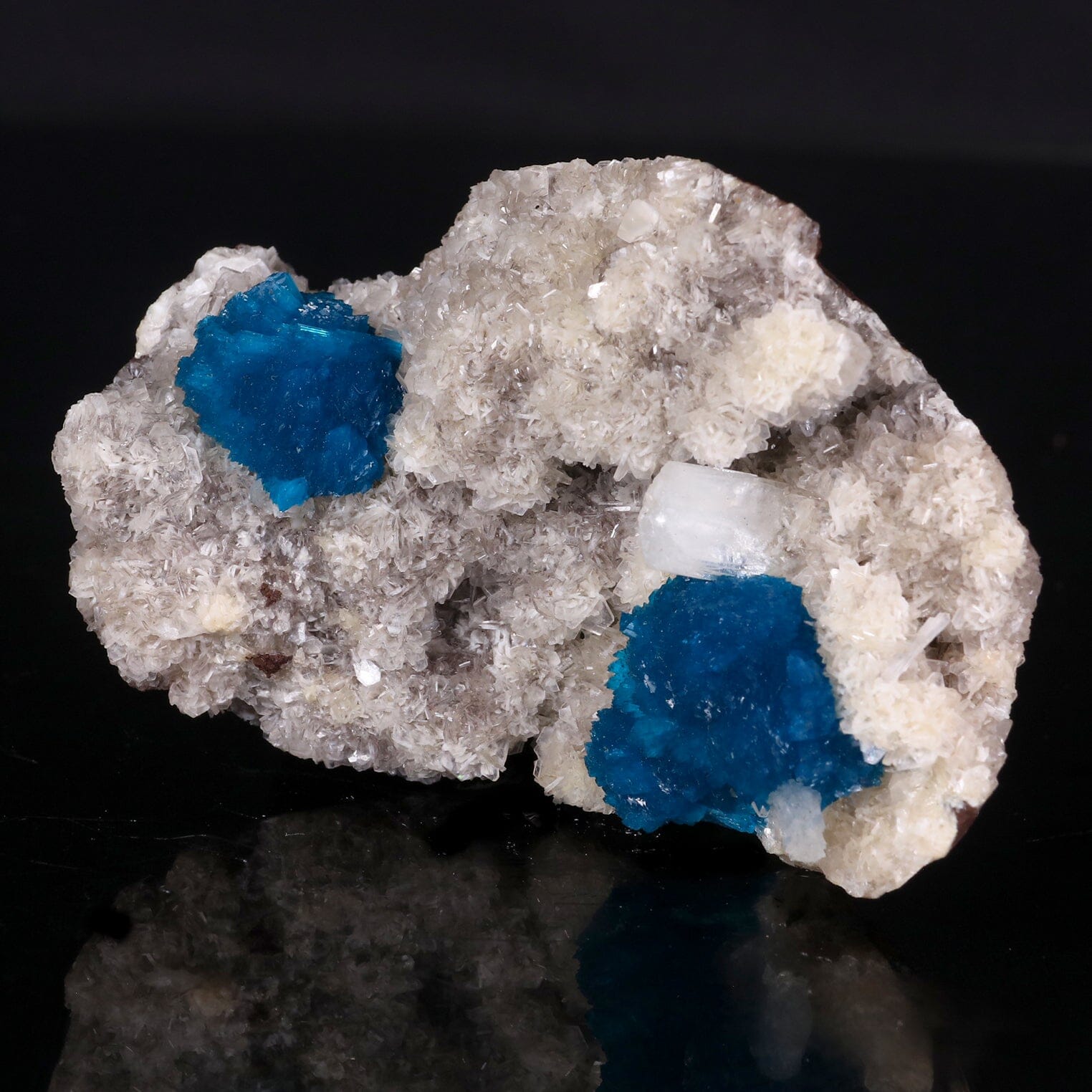 Cavansite on Heulandite (Rare Find) Natural Mineral Specimen # B 6849 Cavansite Superb Minerals 