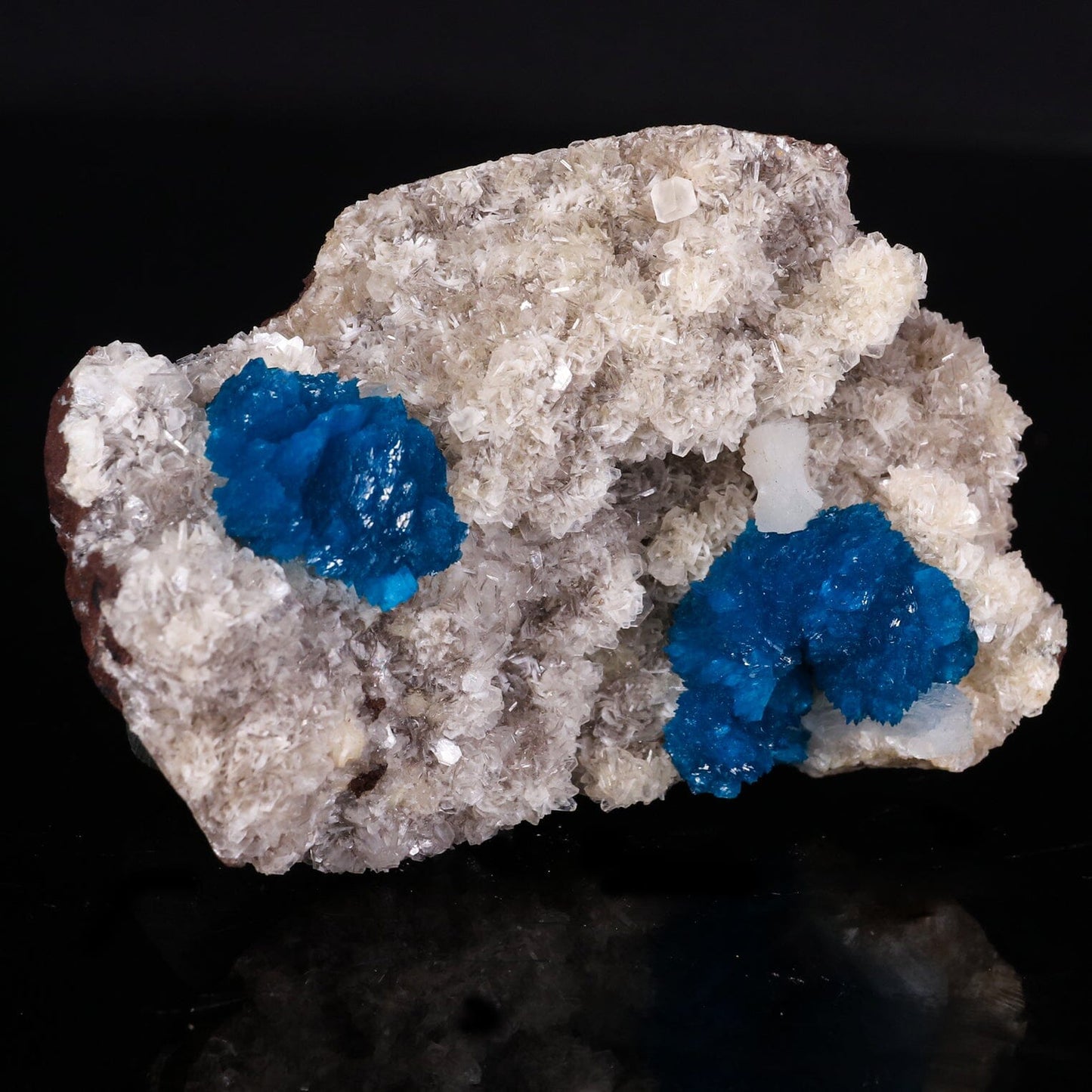 Cavansite on Heulandite (Rare Find) Natural Mineral Specimen # B 6849 Cavansite Superb Minerals 