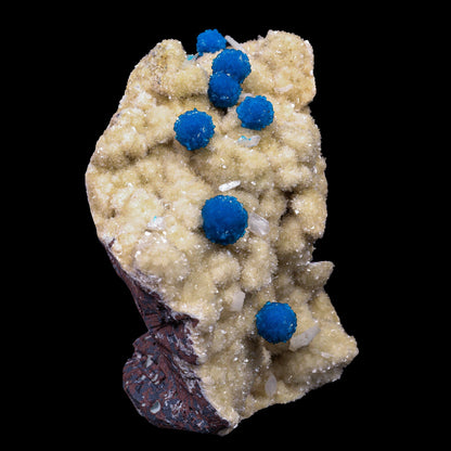 Cavansite on Heulandite (Rare Find) Natural Mineral Specimen # B 6907 (usa)