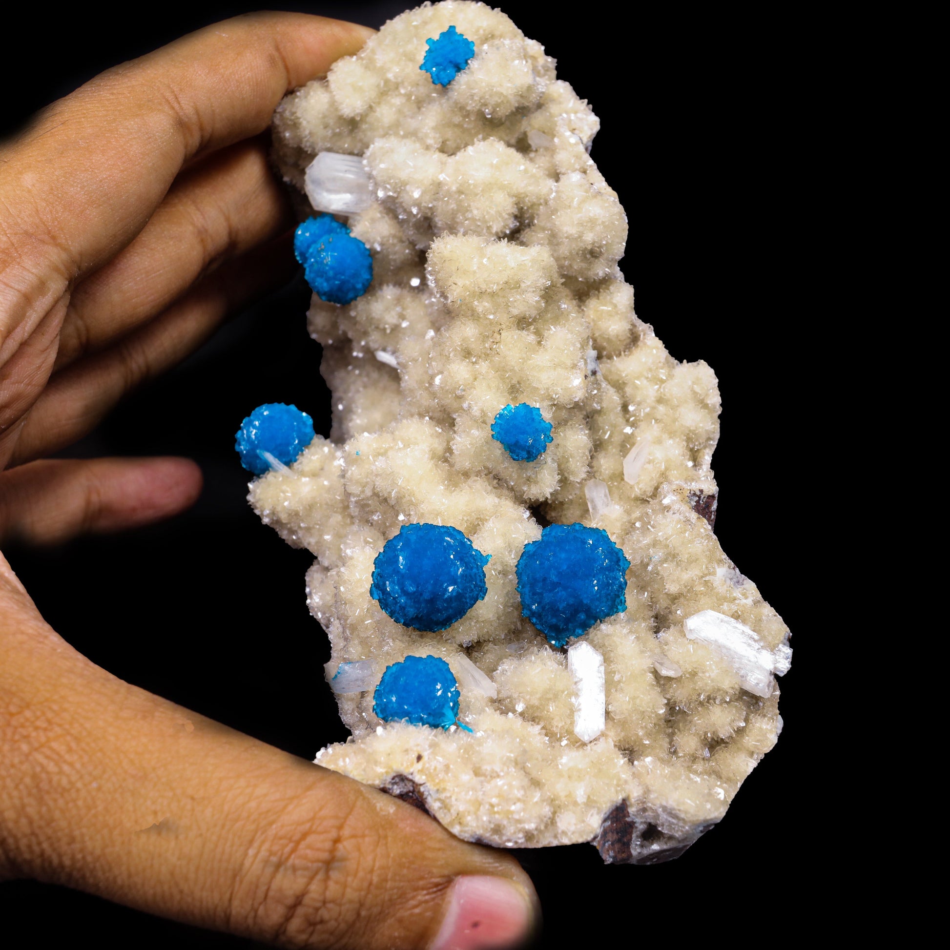 Cavansite on Heulandite (Rare Find) Natural Mineral Specimen # B 6909 (usa) Cavansite Superb Minerals 