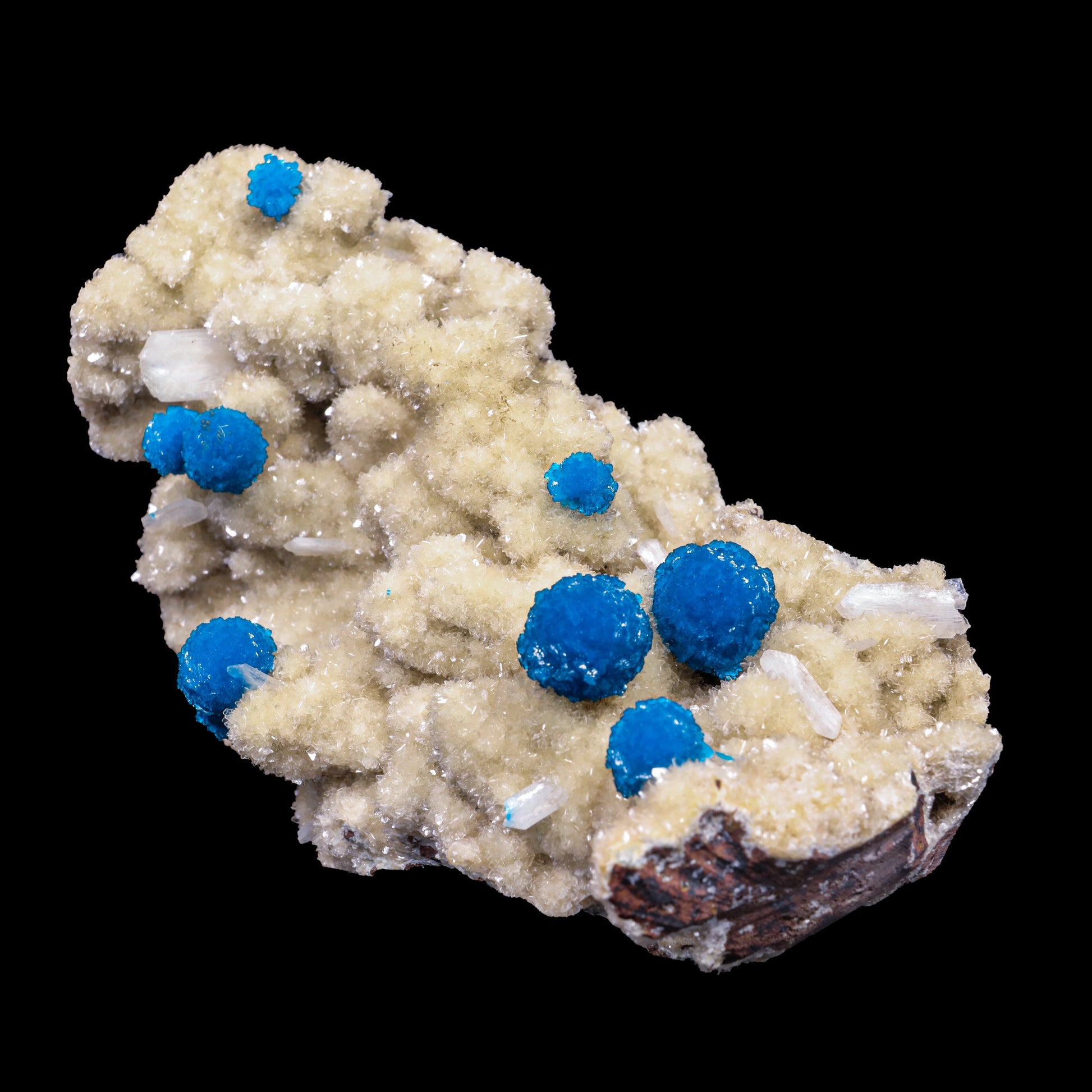 Cavansite on Heulandite (Rare Find) Natural Mineral Specimen # B 6909 (usa) Cavansite Superb Minerals 