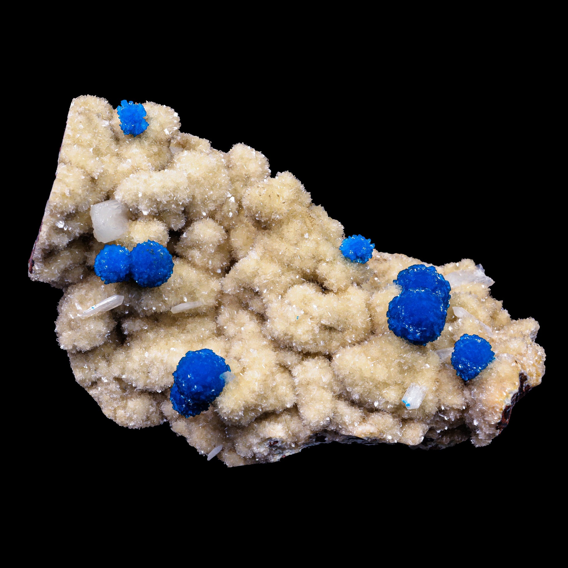 Cavansite on Heulandite (Rare Find) Natural Mineral Specimen # B 6909 (usa) Cavansite Superb Minerals 