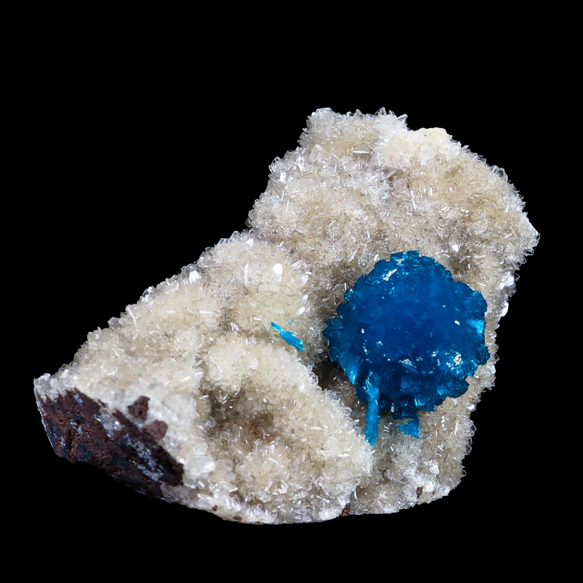 Cavansite on Heulandite (Rare Find) Natural Mineral Specimen # B 6955 Cavansite Superb Minerals 