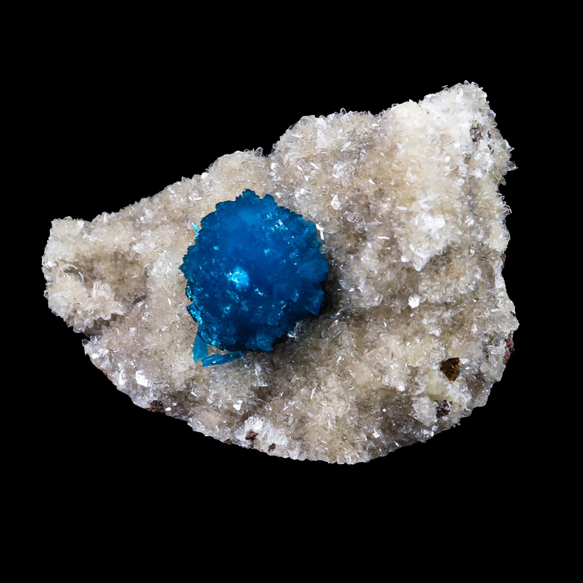 Cavansite on Heulandite (Rare Find) Natural Mineral Specimen # B 6955 Cavansite Superb Minerals 