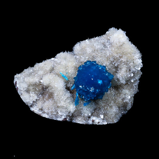 Cavansite on Heulandite (Rare Find) Natural Mineral Specimen # B 6955 Cavansite Superb Minerals 