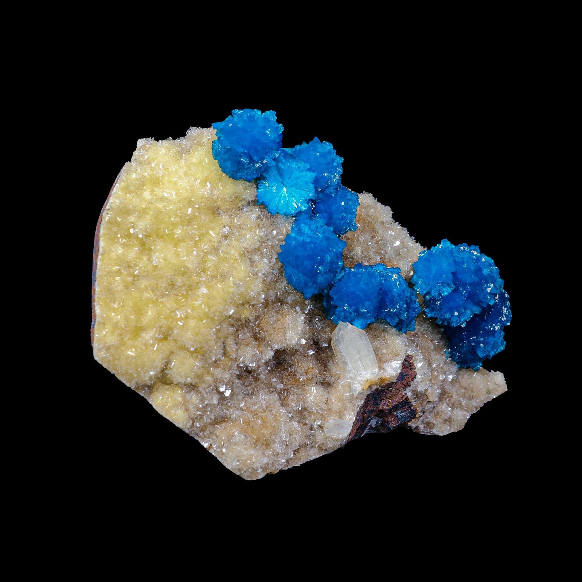 Cavansite on Heulandite (Rare Find) Natural Mineral Specimen USA # B 6926 Cavansite Superb Minerals 