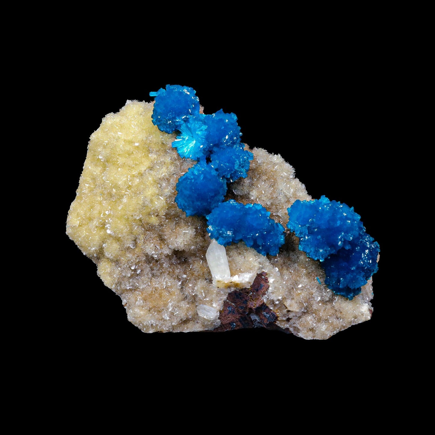 Cavansite on Heulandite (Rare Find) Natural Mineral Specimen USA # B 6926 Cavansite Superb Minerals 