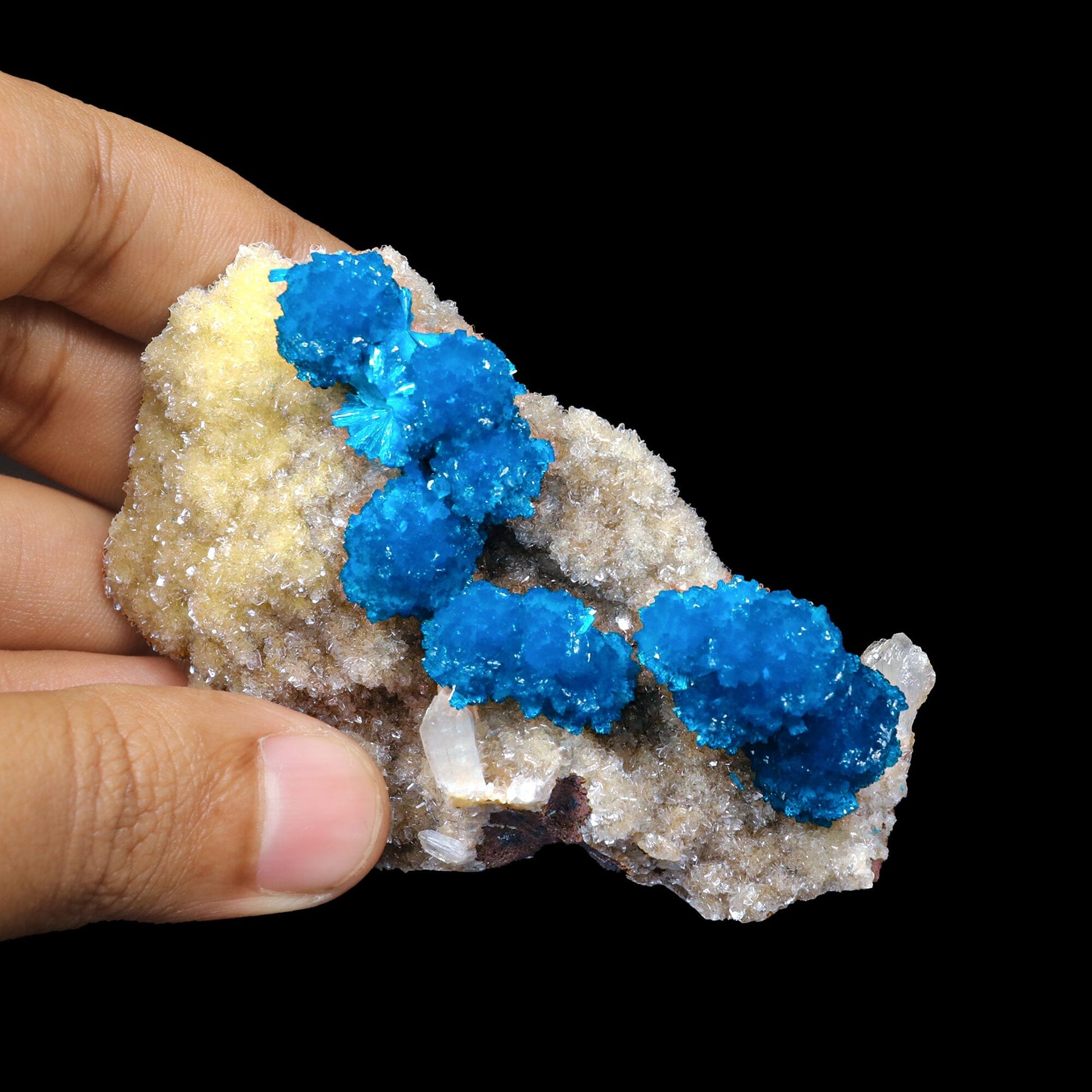 Cavansite on Heulandite (Rare Find) Natural Mineral Specimen USA # B 6926 Cavansite Superb Minerals 