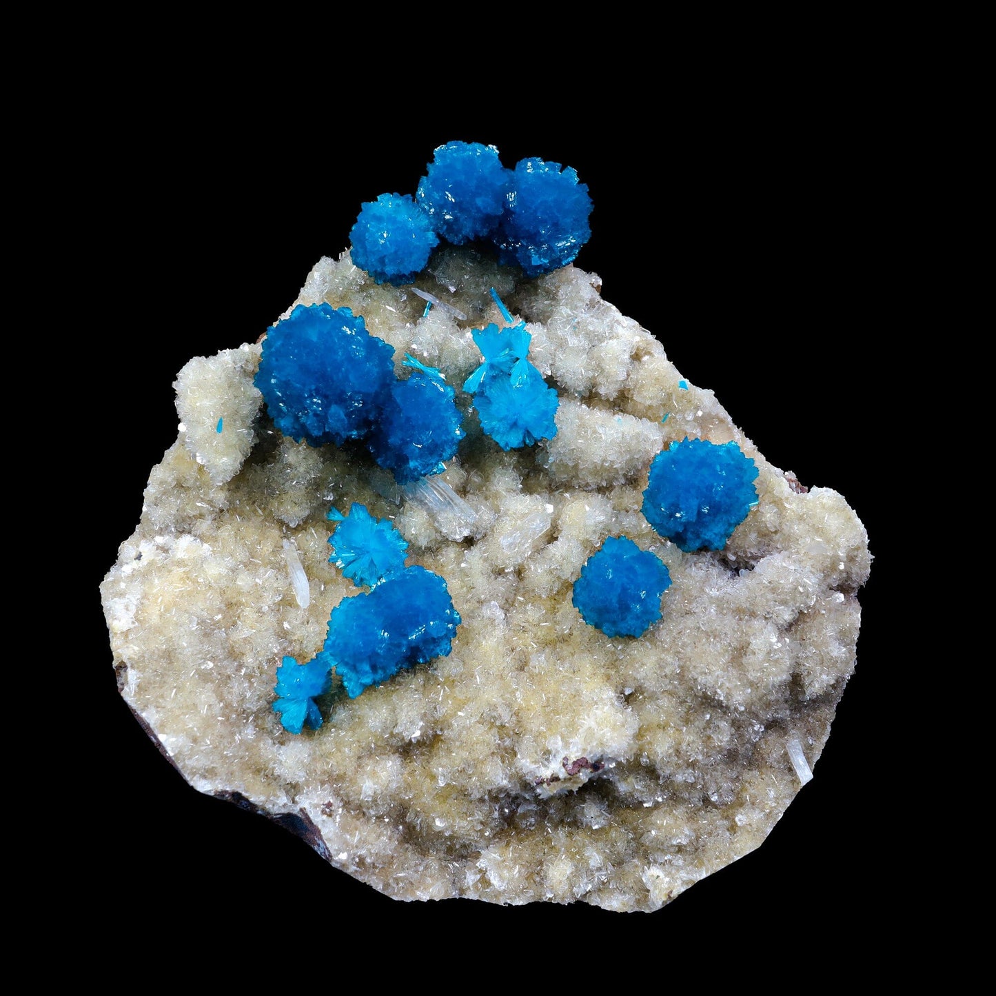 Cavansite on Heulandite (Rare Find) Natural Mineral Specimen USA # B 6930