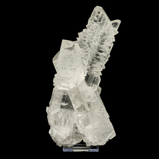 Fish Tail Selenite (Gypsum) Natural Mineral Specimen.  # GG3