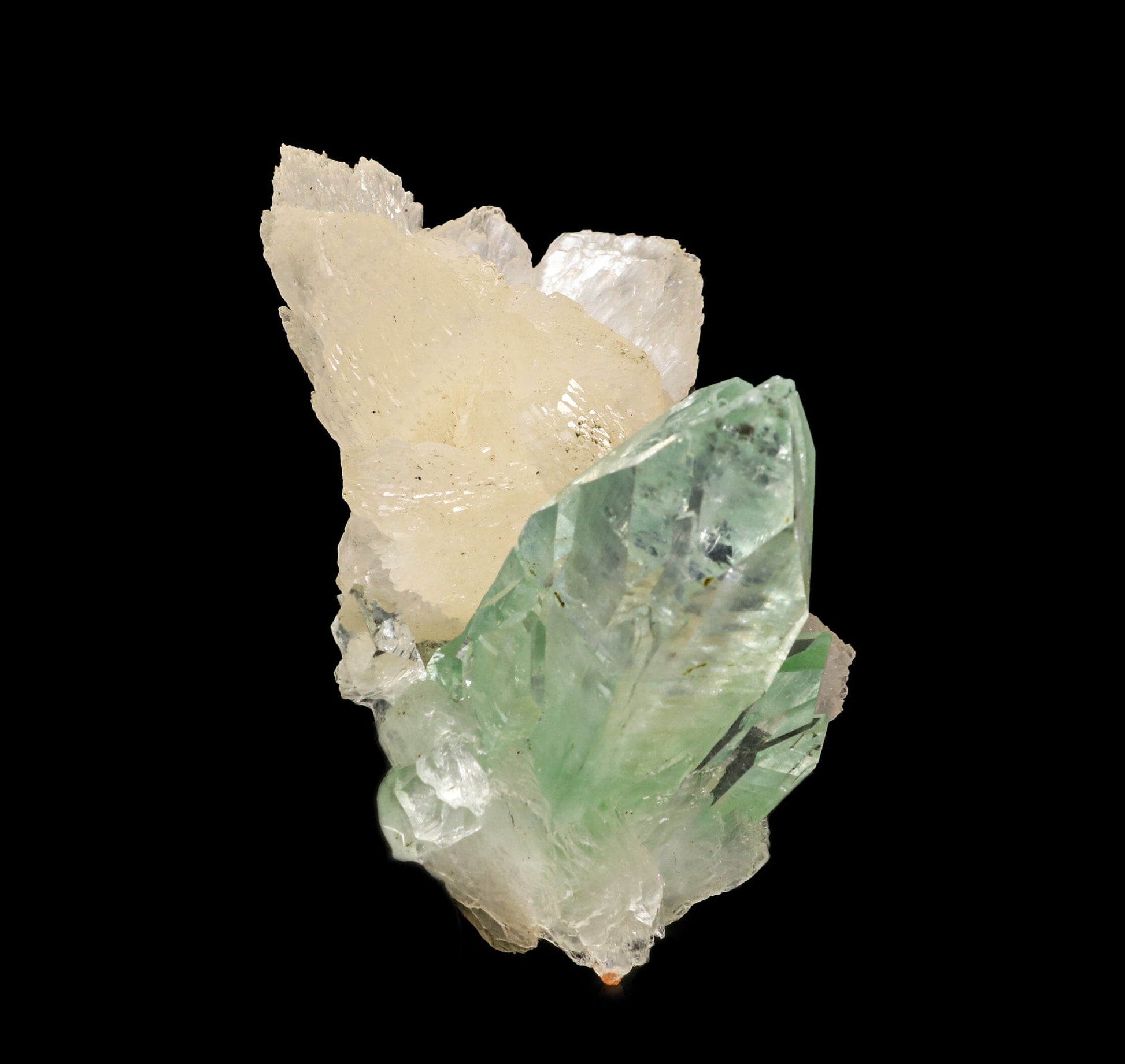 Green Apophyllite with Stilbite Natural Mineral Specimen # B 6866 Apohyllite Superb Minerals 