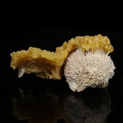 New Find Calcite Layer on Scolecite Natural Mineral Specimen # B 6772 Calcite Superb Minerals 