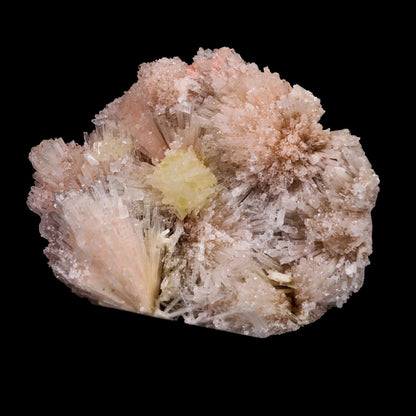 Powellite with Pink Mesolite Rare Find Natural Mineral Specimen # B 6914 Powellite Superb Minerals 