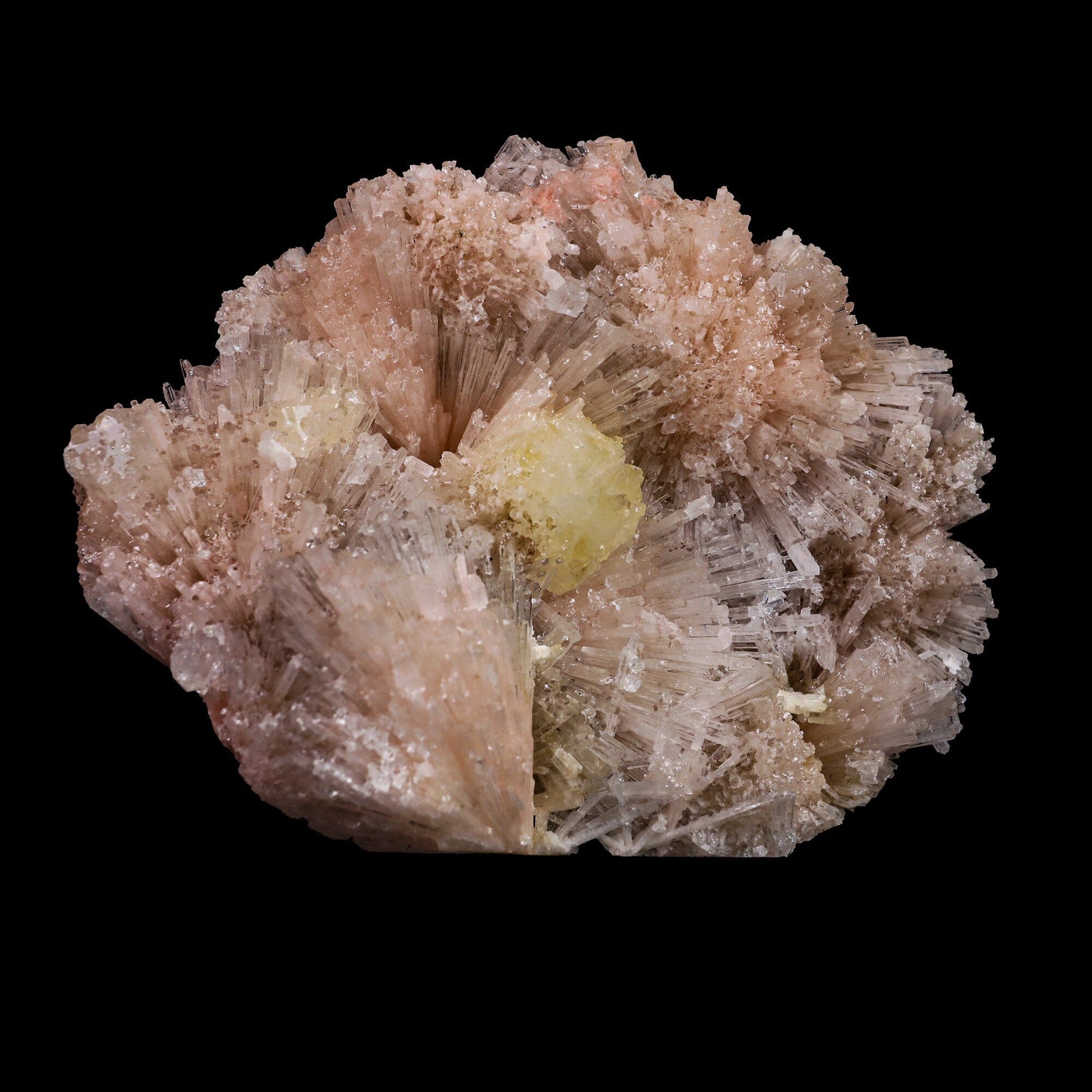 Powellite with Pink Mesolite Rare Find Natural Mineral Specimen # B 6914 Powellite Superb Minerals 