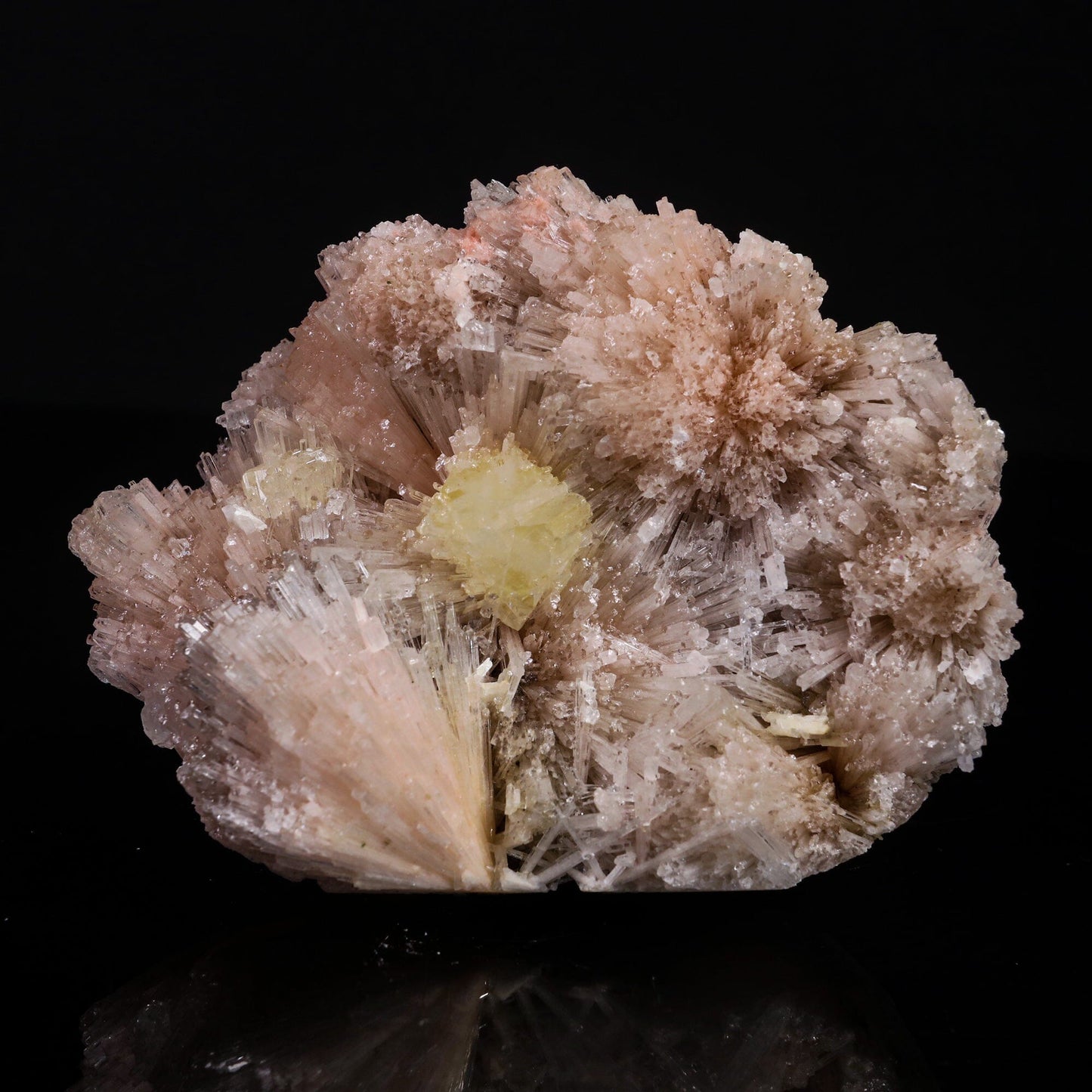 Powellite with Pink Mesolite Rare Find Natural Mineral Specimen # B 6914 Powellite Superb Minerals 