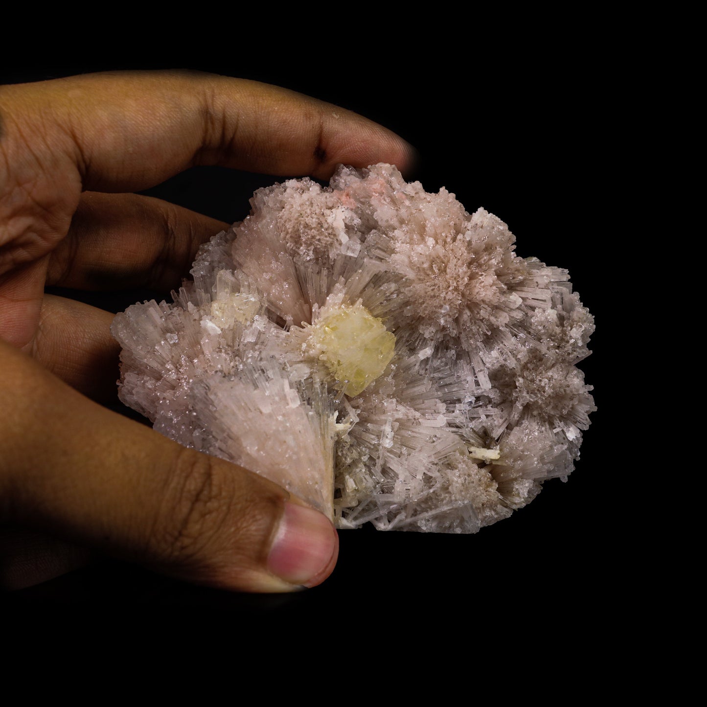 Powellite with Pink Mesolite Rare Find Natural Mineral Specimen # B 6914 Powellite Superb Minerals 