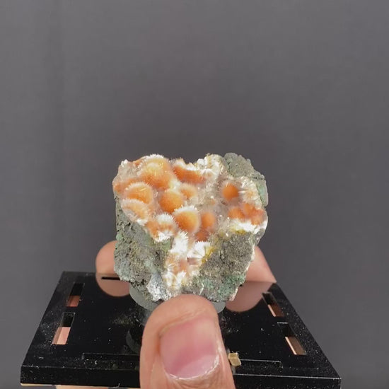 Thomsonite Orange Rare Find Natural Mineral Specimen # B 6855