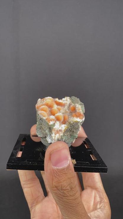 Thomsonite Orange Rare Find Natural Mineral Specimen # B 6855