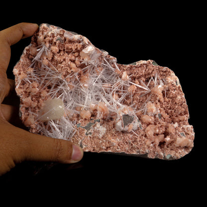 Scolecite with Heulandite in Geode Natural Mineral Specimen # B 6988 Scoleccite Superb Minerals 