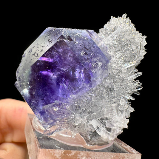 "Tanzanite" Fluorite With Quartz Natural Mineral Specimen