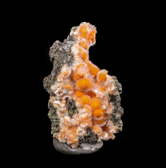 Thomsonite Orange Rare Find Natural Mineral Specimen # B 6867 Thomsonite Superb Minerals 