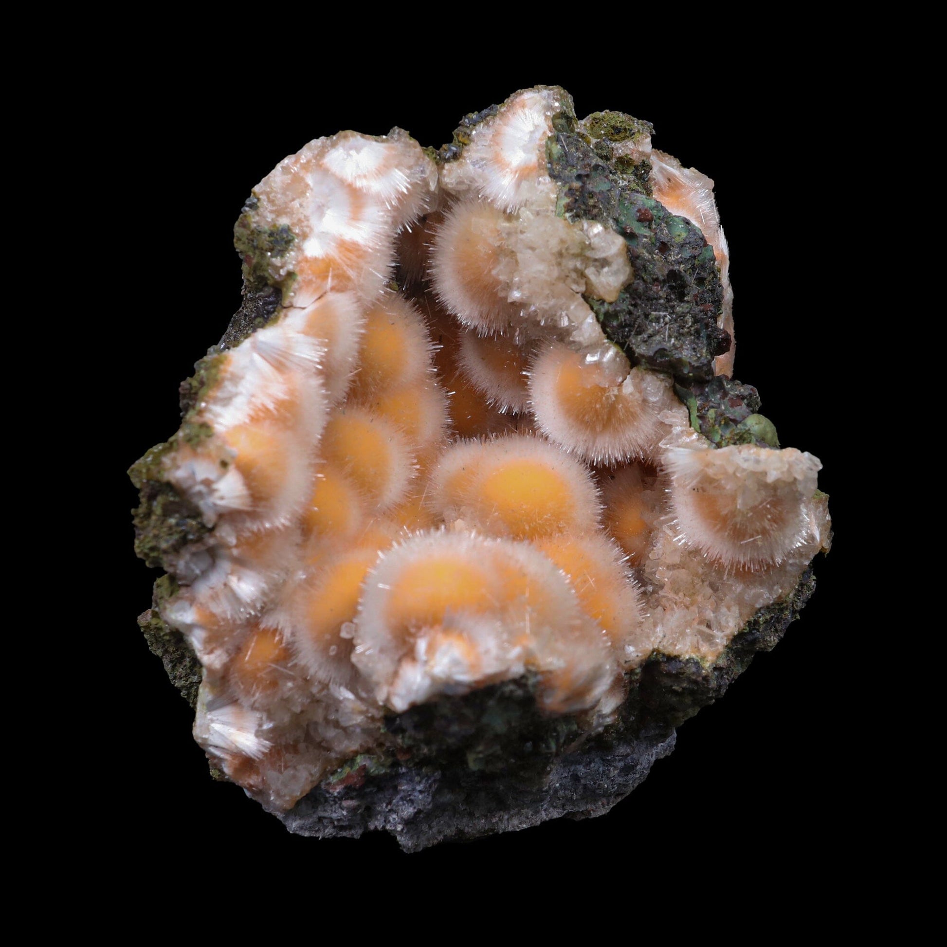 Thomsonite Orange Rare Find Natural Mineral Specimen # B 6954 Thomsonite Superb Minerals 