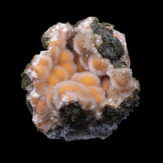 Thomsonite Orange Rare Find Natural Mineral Specimen # B 6954 Thomsonite Superb Minerals 