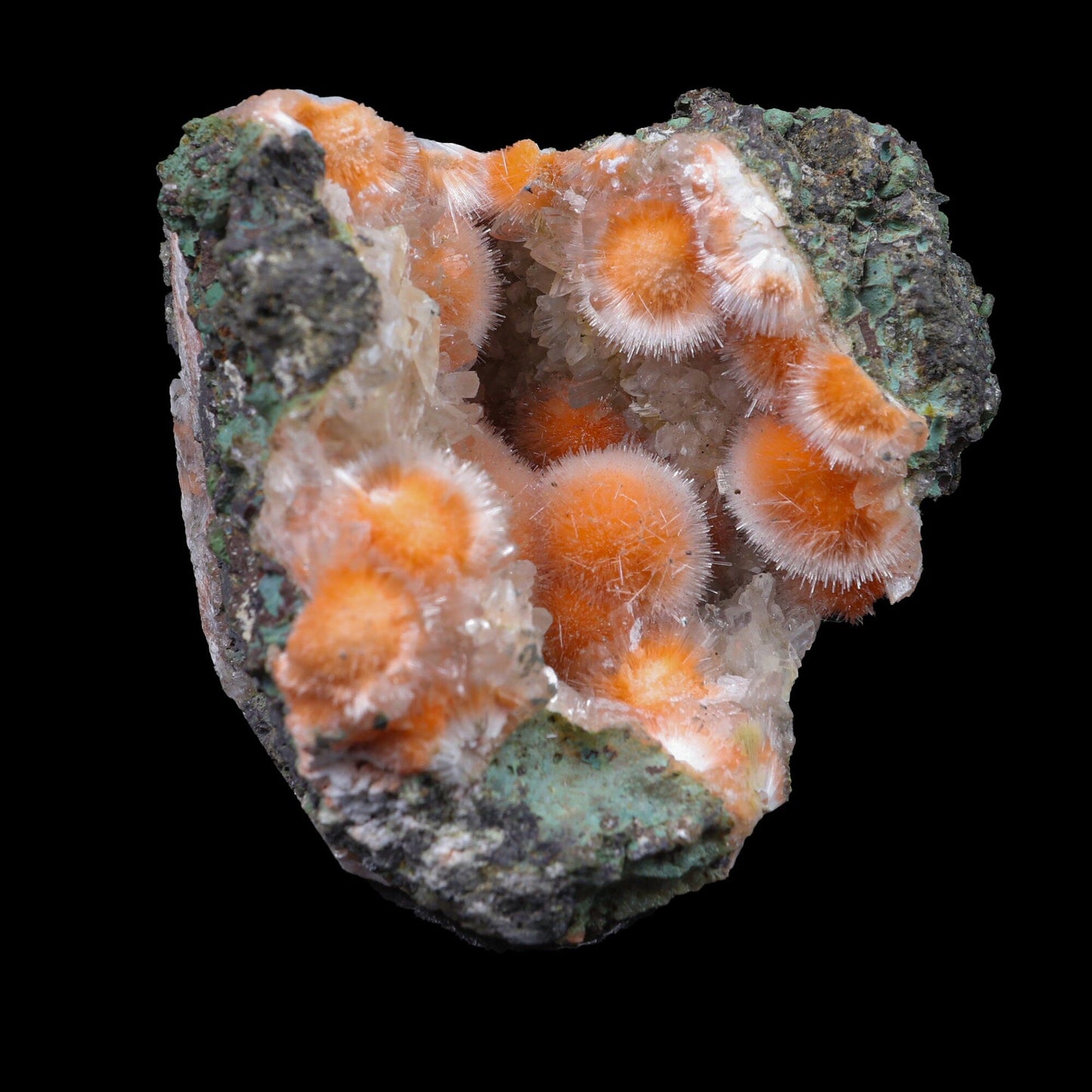 Thomsonite Orange Rare Find Natural Mineral Specimen # B 6956 Thomsonite Superb Minerals 