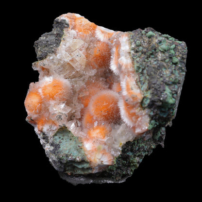 Thomsonite Orange Rare Find Natural Mineral Specimen # B 6956 Thomsonite Superb Minerals 