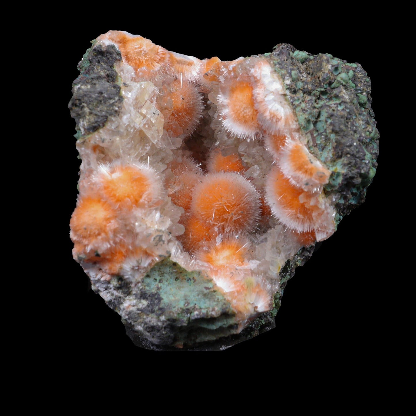 Thomsonite Orange Rare Find Natural Mineral Specimen # B 6956 Thomsonite Superb Minerals 