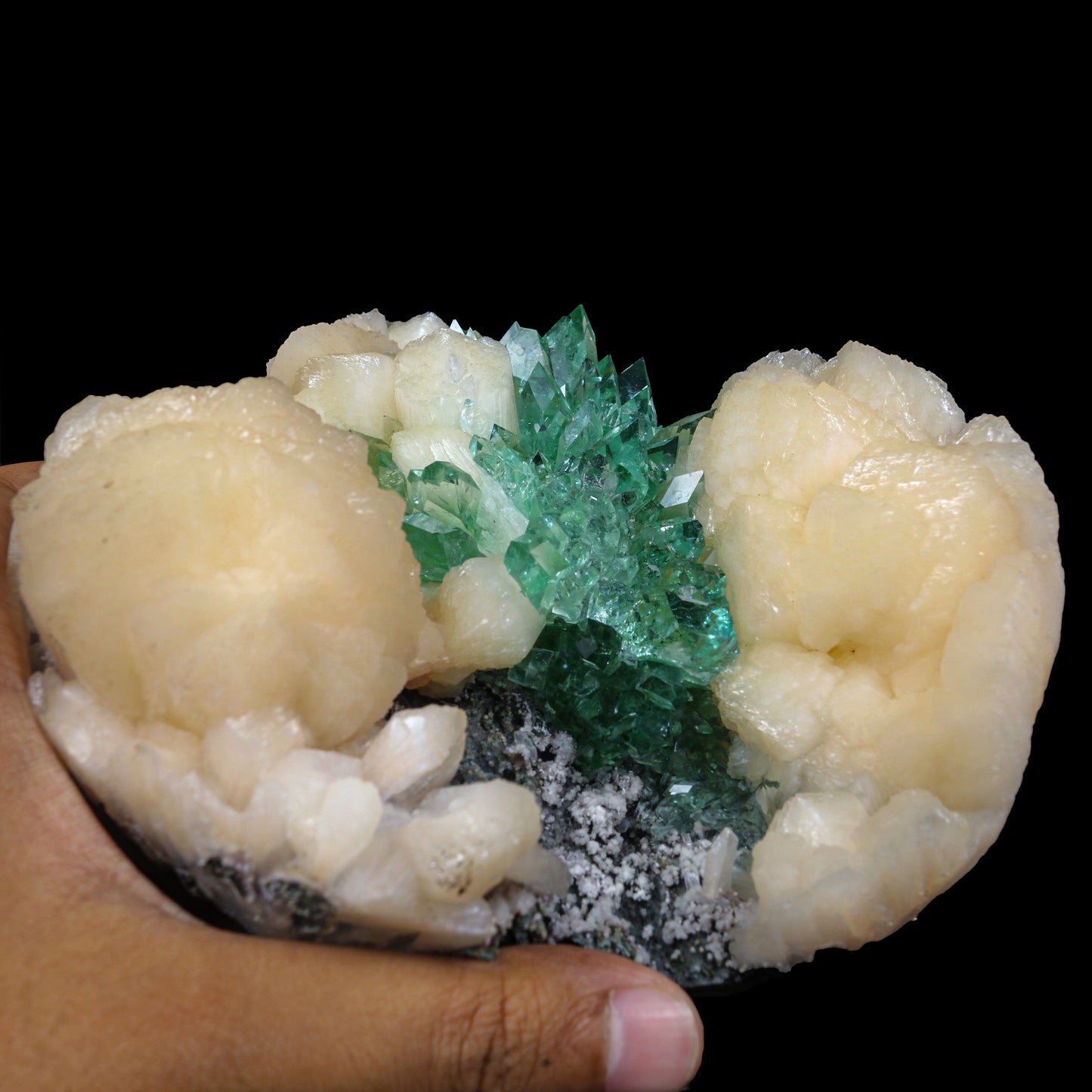 Top Rare Green Floral Apophyllite with Stilbite Natural Mineral Specimen USA # B 6921