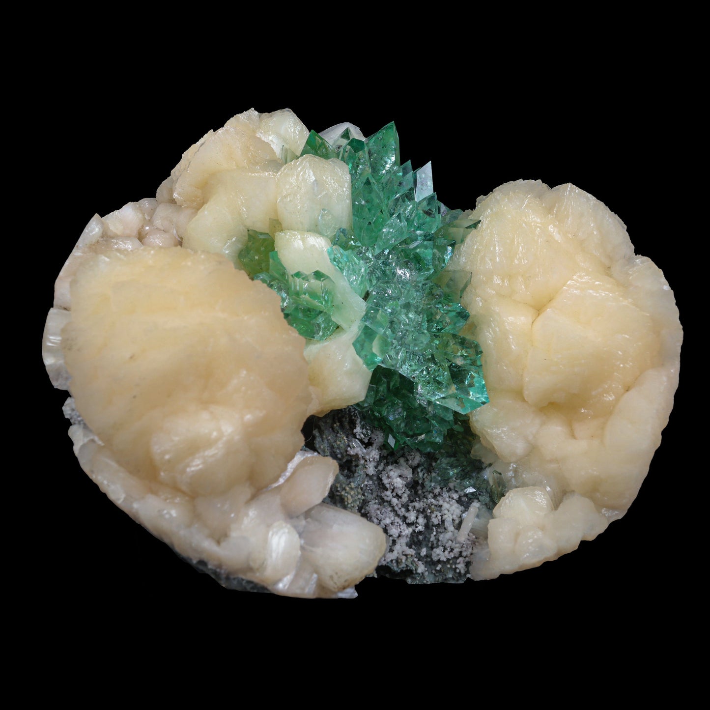 Top Rare Green Floral Apophyllite with Stilbite Natural Mineral Specimen USA # B 6921