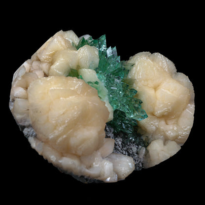 Top Rare Green Floral Apophyllite with Stilbite Natural Mineral Specimen USA # B 6921