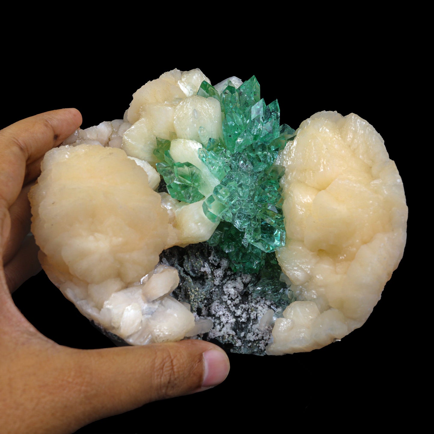 Top Rare Green Floral Apophyllite with Stilbite Natural Mineral Specimen USA # B 6921