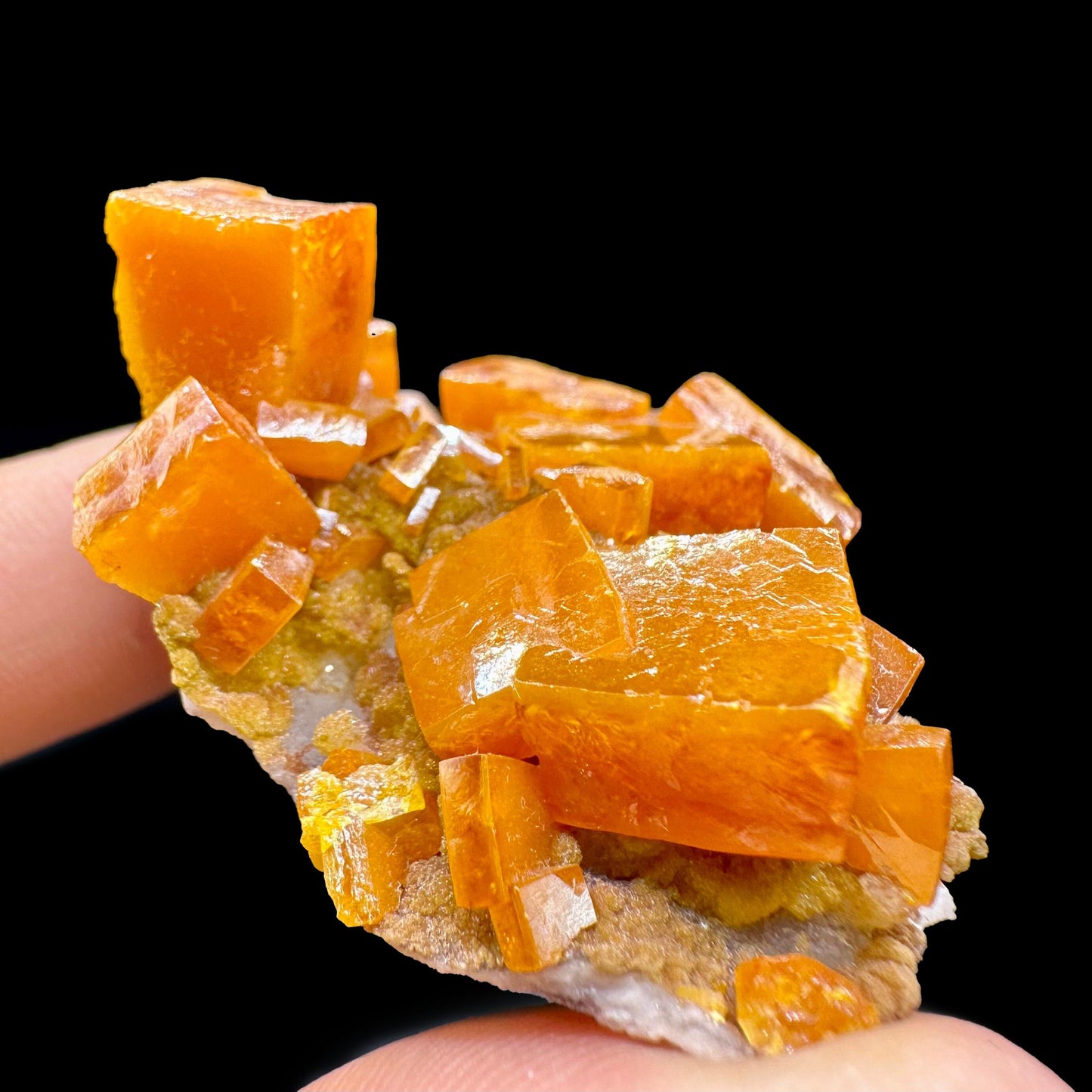 Wulfenite Natural Mineral Specimen # JPL10