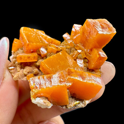 Wulfenite Natural Mineral Specimen # JPL10