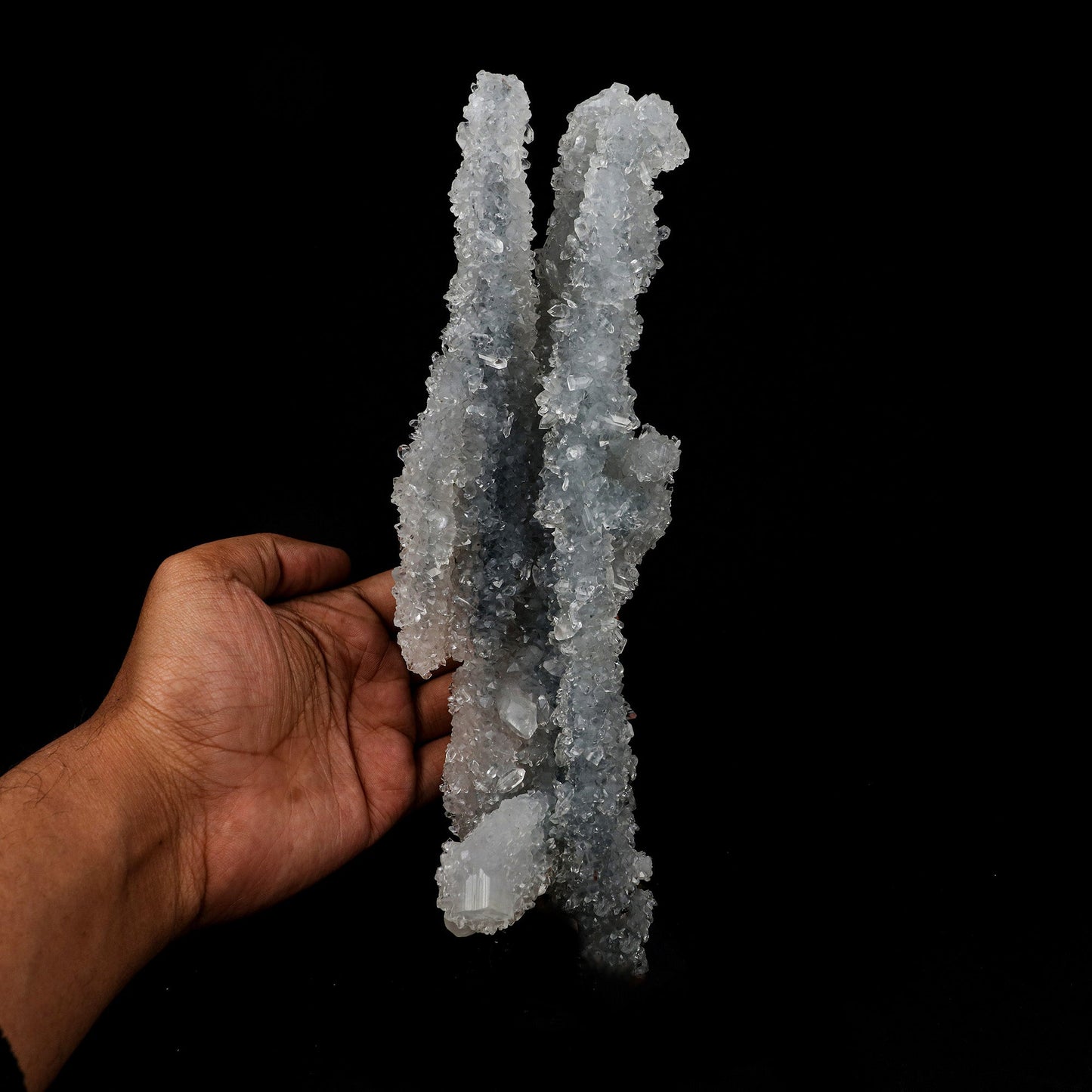 Apophyllite Crystals on Sparkling MM Quartz Stalactite Natural Mineral…  https://www.superbminerals.us/products/apophyllite-crystals-on-sparkling-mm-quartz-stalactite-natural-mineral-specimen-b-5158  Features: Apophyllite crystals, which are very glassy, gem-like, and colourless, form a remarkable and exquisite stalactite from Jalgaon.The gemmy, pyramidal crystals are water-clear to translucent, and some are doubly terminated, including the largest compound crystal.The crystals project in all directions