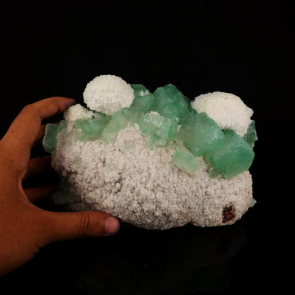 Apophyllite Green Cube with Mordenite Free Standing Natural Mineral Specimen # B 5979 Apophyllite Superb Minerals 