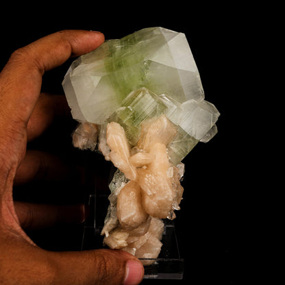 Apophyllite green cube with Stilbite Natural Mineral Specimen # B 5890 Apophyllite Superb Minerals 