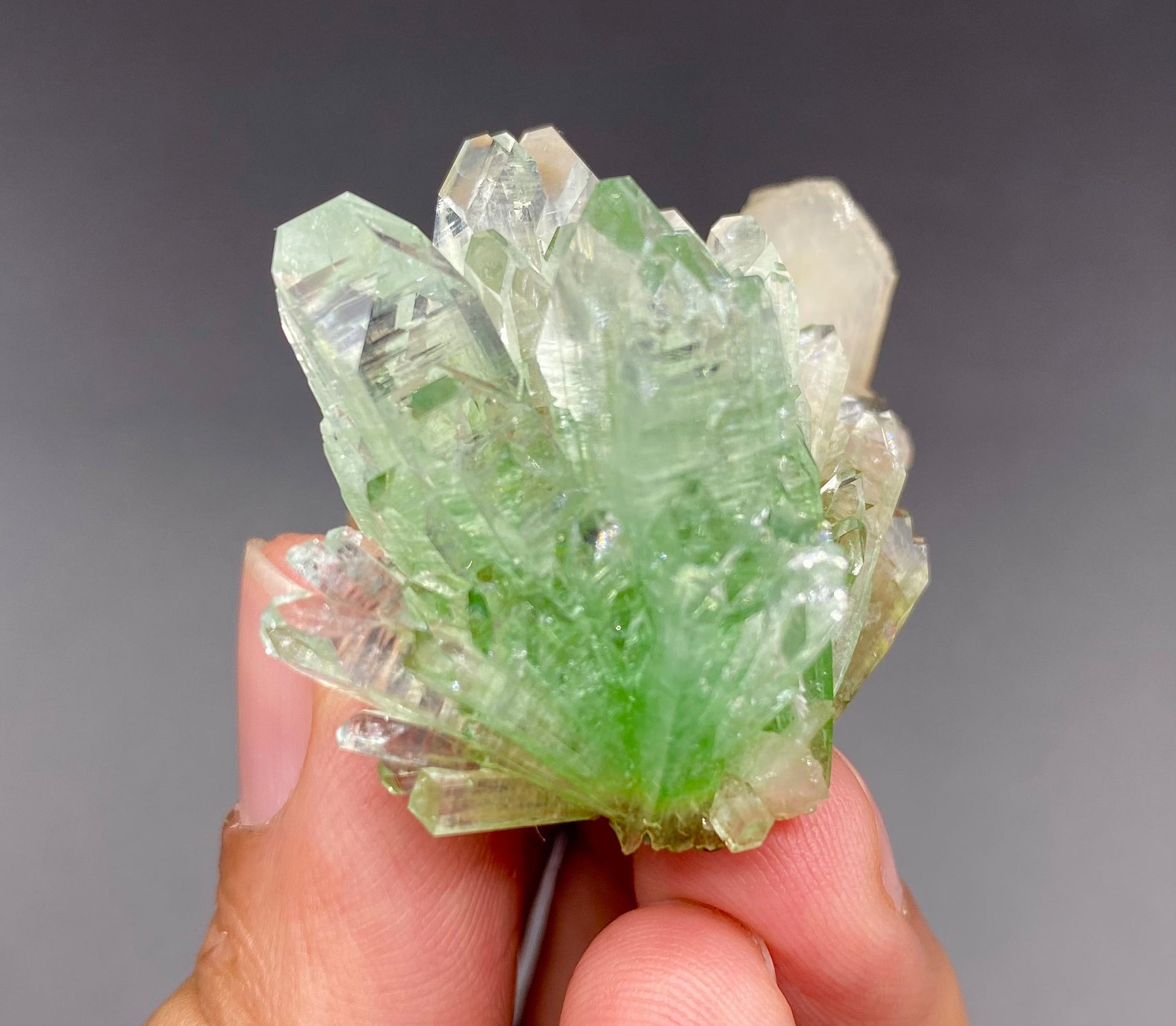 Apophyllite & Mordenite DK68 Superb Minerals 
