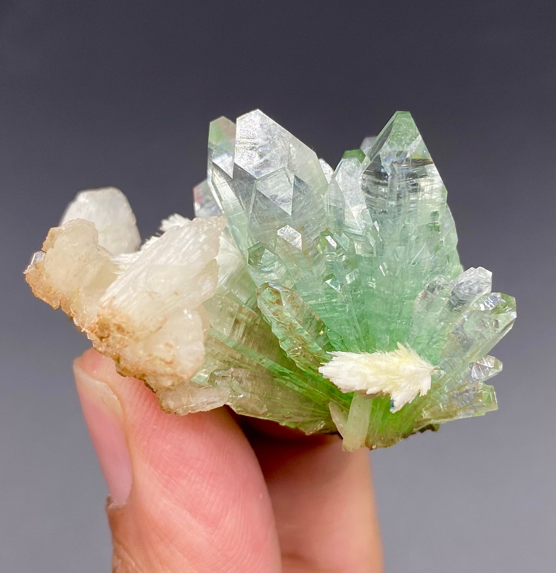 Apophyllite & Mordenite DK68 Superb Minerals 