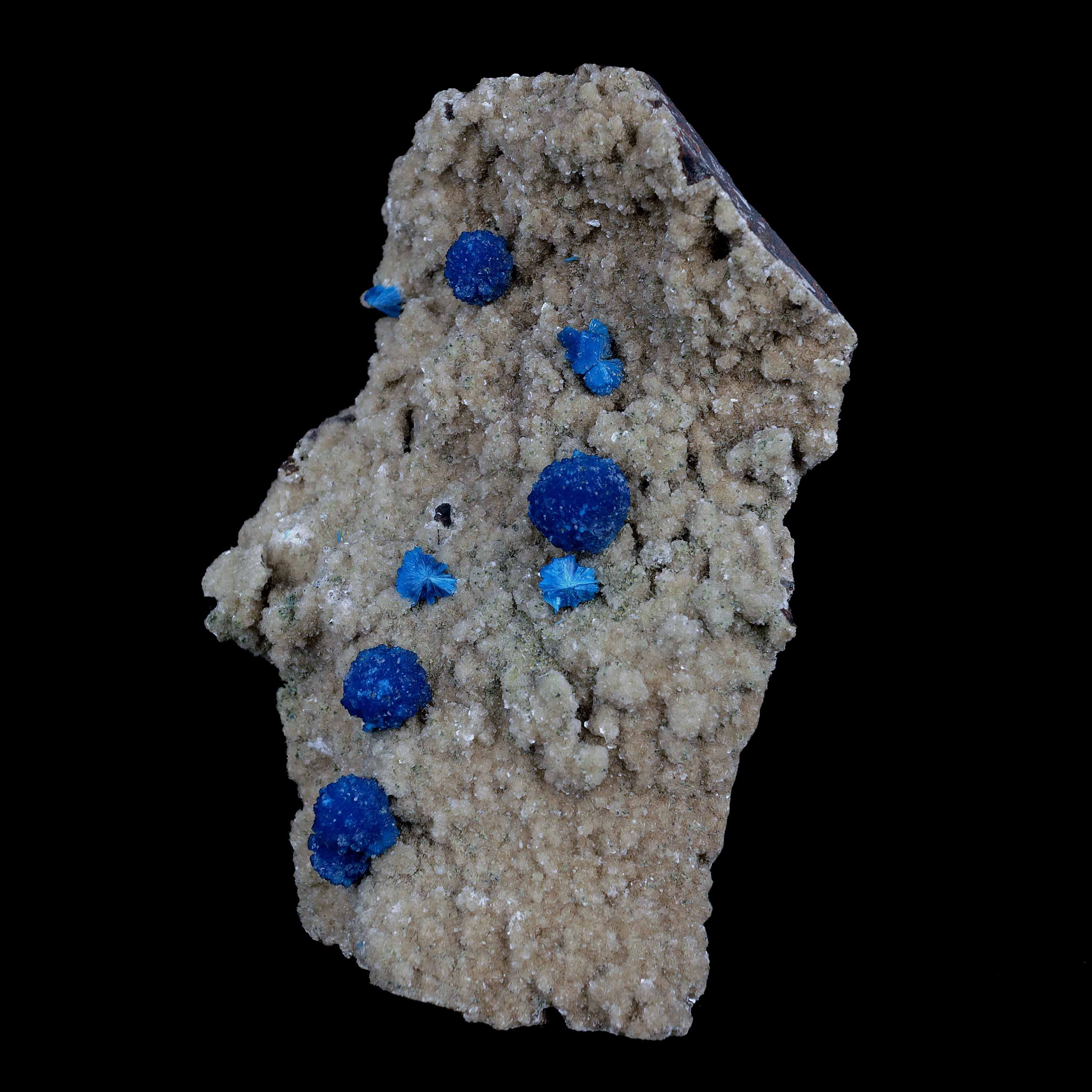 Blue Cavansite, Untreated Unheated Cavansite, Petite Cavansite L 12mm high quality W 10mm Depth 7mm