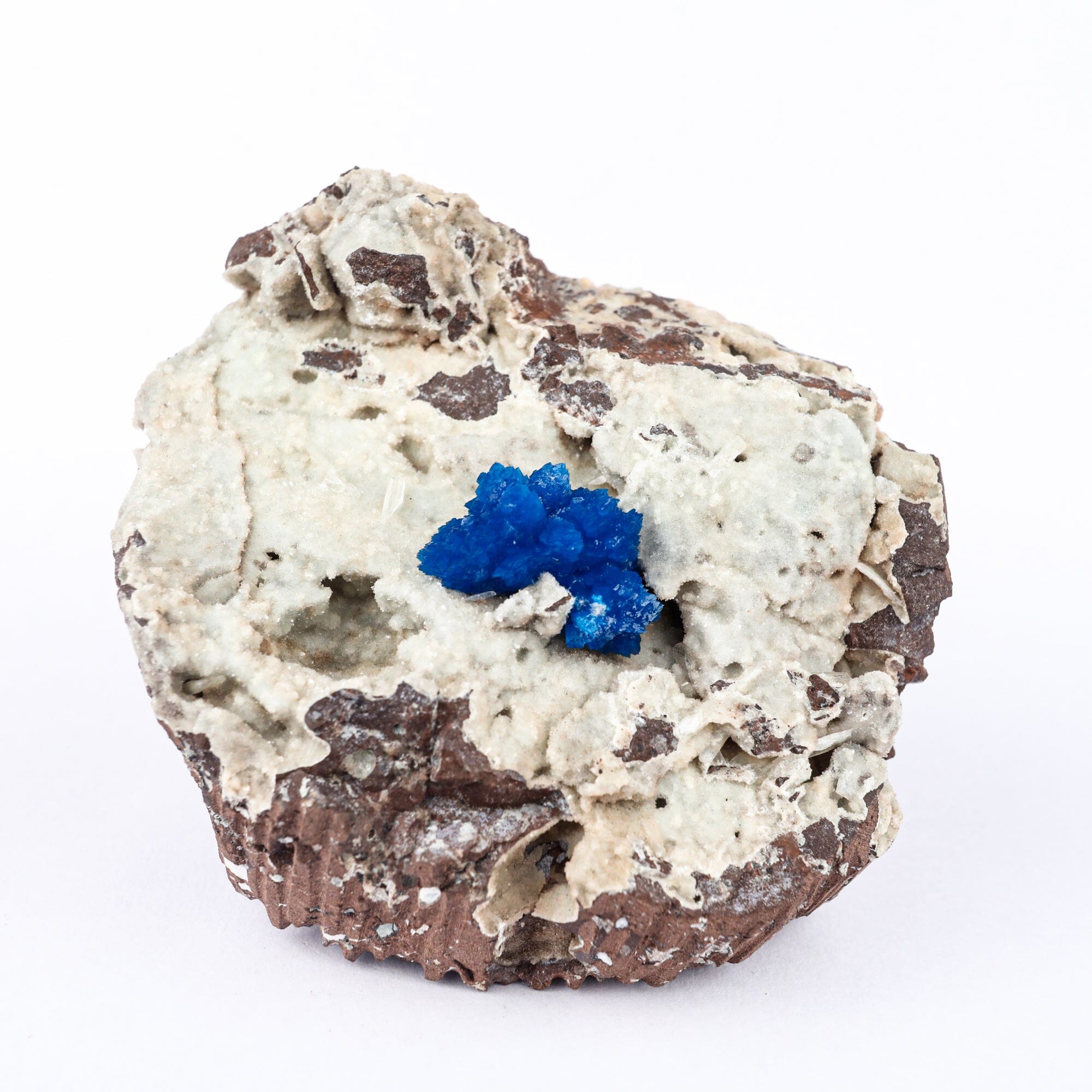 Stunning store Cavansite specimen