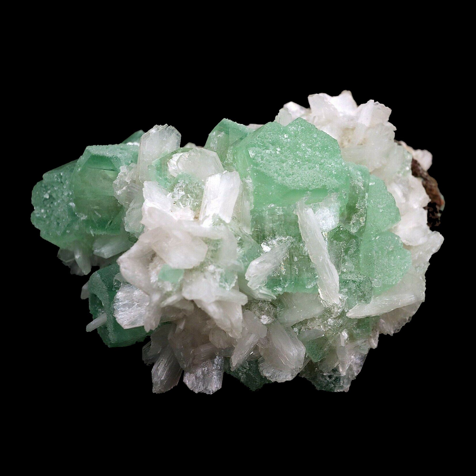 Fashion Apophyllite