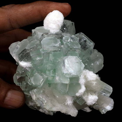 Green Apophyllite Disco Ball with Stilbite, Mordenite Natural Mineral …  https://www.superbminerals.us/products/green-apophyllite-disco-ball-with-stilbite-mordenite-natural-mineral-specimen-b-4391  Features:Stunning clusters of glassy, gemmy, bi-colored, tetragonal apophyllite crystals are artistically centered on creamy stilbite crystals and beautiful Mordenite white ball on this outstanding large specimen from Ahmadnagar. The crystals have rich mint-green bodies and limpid colorless terminations.
