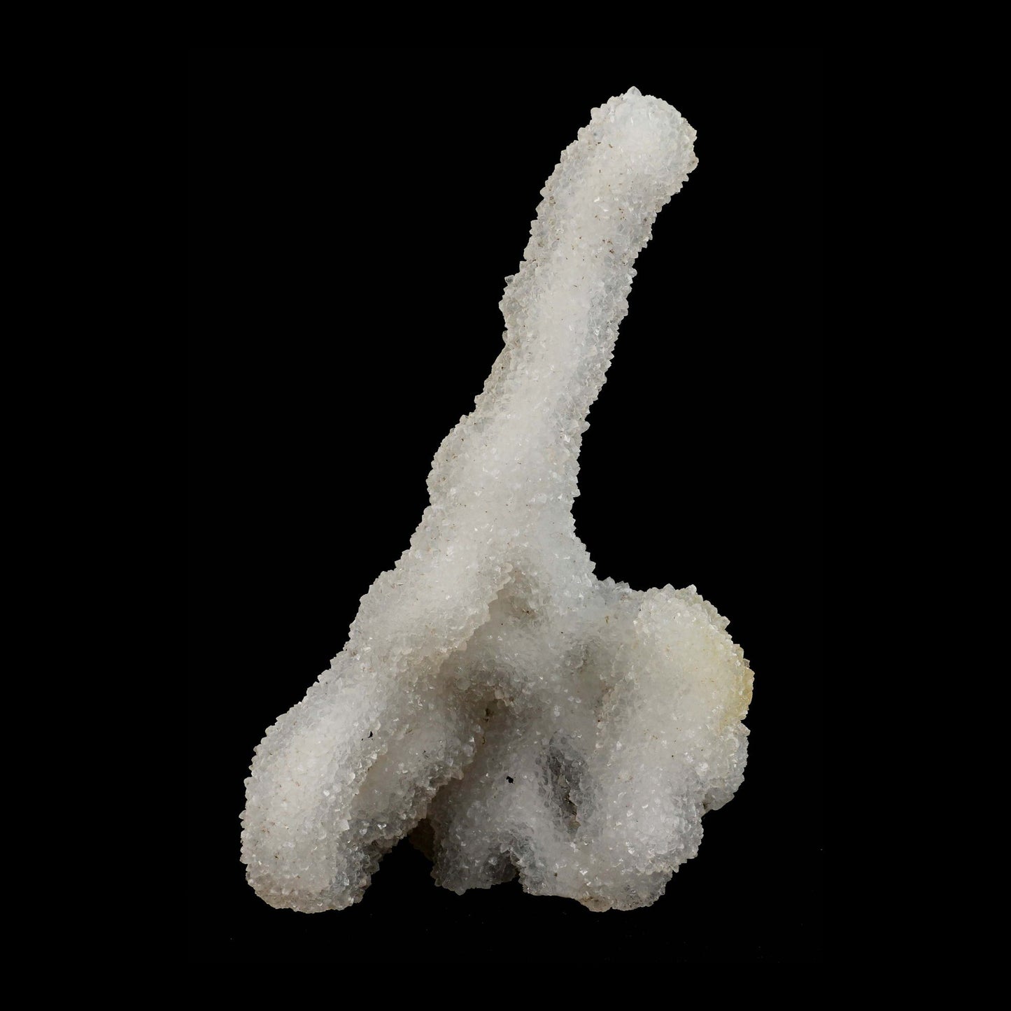 Microcrystaline MM Quartz Coral Formation Natural Mineral Specimen # …  https://www.superbminerals.us/products/microcrystaline-mm-quartz-coral-formation-natural-mineral-specimen-b-4947  Features:The piece is filled with drusy milky Quartz which has formed pseudomorphs after scalenohedral Calcite crystals. The piece is crystallized nearly all the way around with no matrix, and only a few small points of attachment