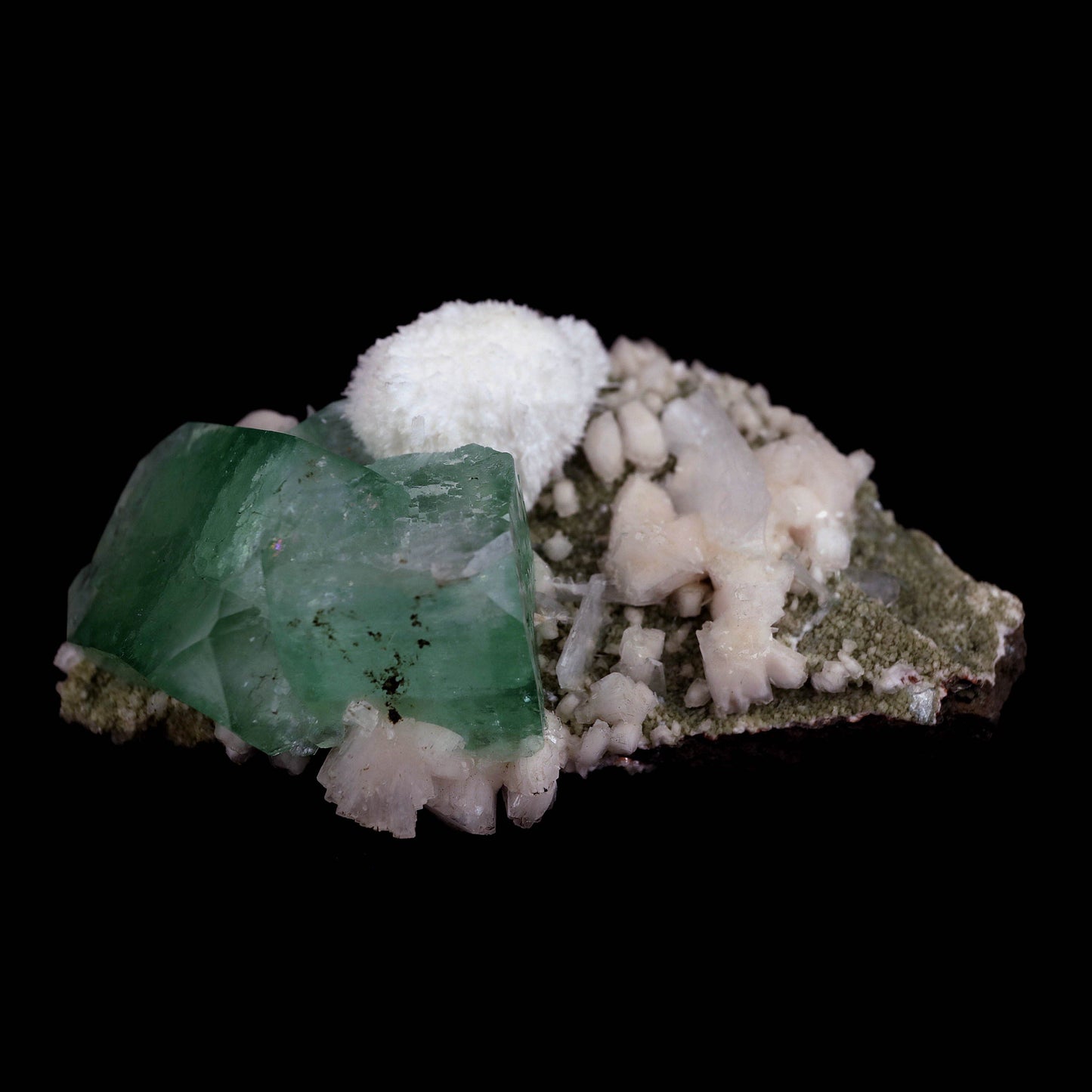 Pesudo Green Apophyllite with Mordenite Stilbite Natural Mineral Speci…  https://www.superbminerals.us/products/pesudo-green-apophyllite-with-mordenite-stilbite-natural-mineral-specimen-b-4602  Features:The gemmy and glossy light mint-green apophyllite crystals on this extremely attractive specimen from Jalgaon are complemented with snow-white spikeballs of brittle mordenite needles. Atop the green, some of the apophyllite crystal terminations became colourless. This is a reasonably rare and exceptional 